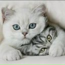 Іван Любий фотография #46 (источник - https://vk.com/id45299202)