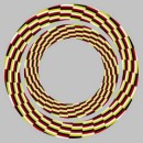 Ігор Лазорко фотография #2 (источник - https://vk.com/id84696170)