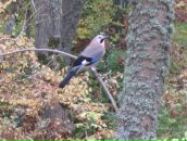 Фотография Роговой Марии