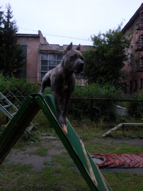 Andrei Kat фотография #18