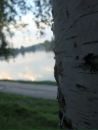 Ірочка Лысецька фотография #45 (источник - https://vk.com/id40734980)