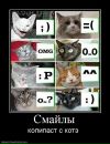 Фотография Кометы Светы