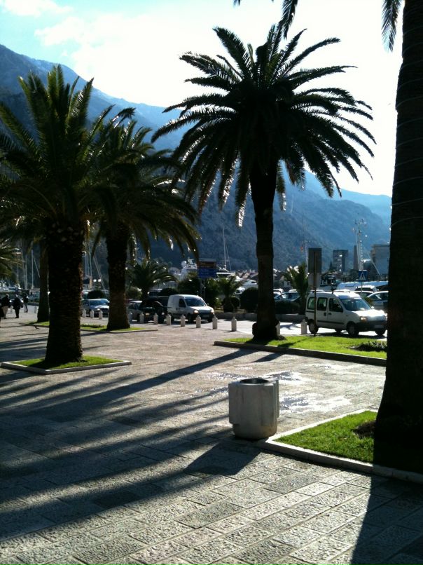 Денис Дашковский фотография #1