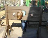 Фотография Левиной Елены