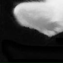 Іра Марциняк фотография #22 (источник - https://vk.com/id148611521)