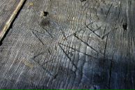 Фотография Шайхутдинова Рустема