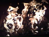 Фотография Пермякова Артема