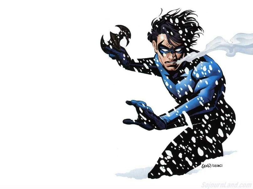 The Nightwing фотография #19