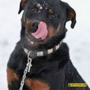 Маша Віталієвна фотография #20 (источник - https://vk.com/id142971333)