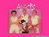 Фотография Бабаева Андрея