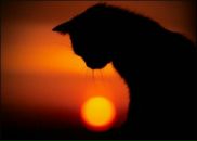 Фотография Кулик Татьяны