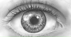 Фотография Лукиной Ольги