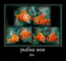 Фотография Горюшкина Владимира