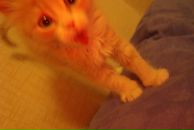 Фотография Коршуновой Татьяны