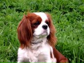 Фотография Шергиной Наталии