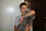 Фотография Troshin Artem