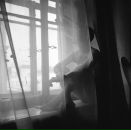 Фотография Лисина Кирилла