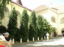 Ольга Вільхова фотография #41 (источник - https://vk.com/id26531812)