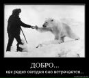 Наталія Ольшанецька фотография #40 (источник - https://vk.com/id24076933)