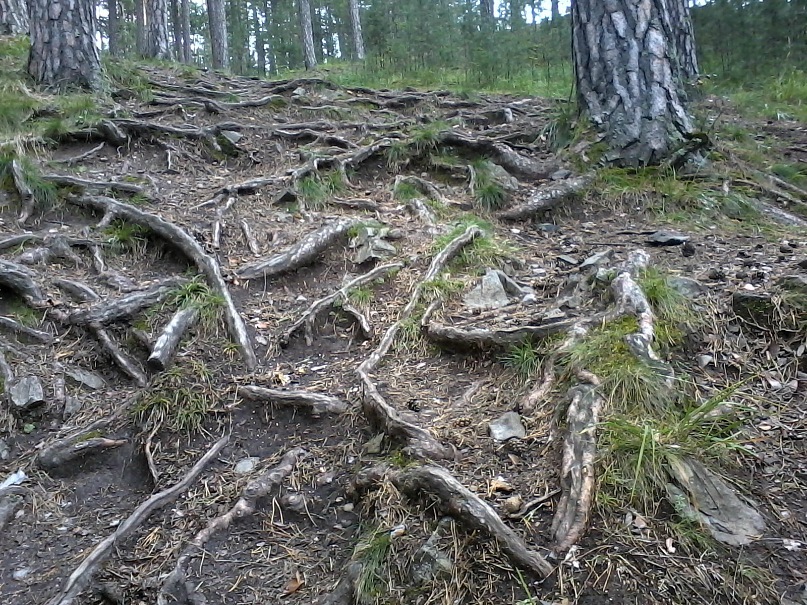 Лена Тимошенко фотография #35