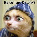 Андрій Смірнов фотография #40 (источник - https://vk.com/id133338282)