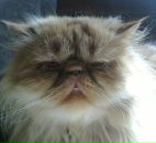 Фотография Киселевой Ольги