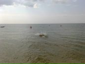 Петро Червінка фотография #41 (источник - https://vk.com/id50253226)