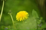 Андрюха Кіптель фотография #14 (источник - https://vk.com/id3545054)