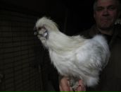 Фотография Свиридовой Катерины