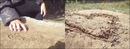 Фотография Ливандовской Полины