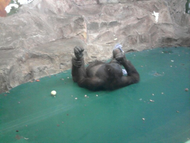 Дмитрий Щербаков фотография #41