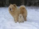 Фотография Огий Марины