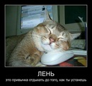 Фотография Баулина Евгения