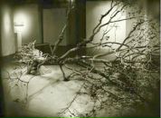 Фотография Лузина Сергея