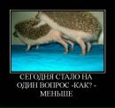 Віктор Переймибіда фотография #10 (источник - https://vk.com/id65836987)