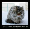 Фотография Водопроводова Павла