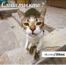 Кракаділ Гєна фотография #11 (источник - https://vk.com/id162674219)