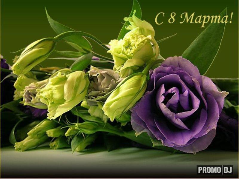 Дмитрий Топилин фотография #33