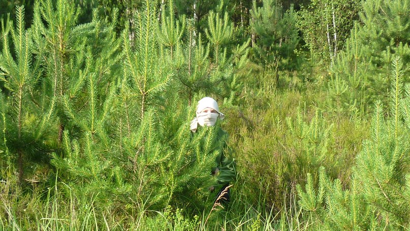 Антон Никитин фотография #10