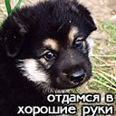 Сергій Шеремета фотография #4 (источник - https://vk.com/id154453744)