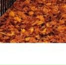 Катруся Полівода фотография #18 (источник - https://vk.com/id99062216)