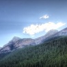 [lexa]-=sok Шевченко фотография #4 (источник - https://vk.com/id149195628)