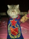 Фотография Потапова Михаила