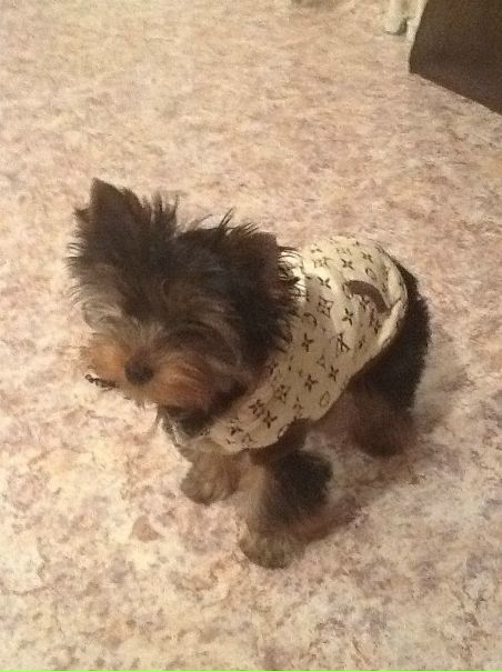 №7, Александр Еремеев, 36 лет, Москва №7, Александр Еремеев, 36 лет, Москва