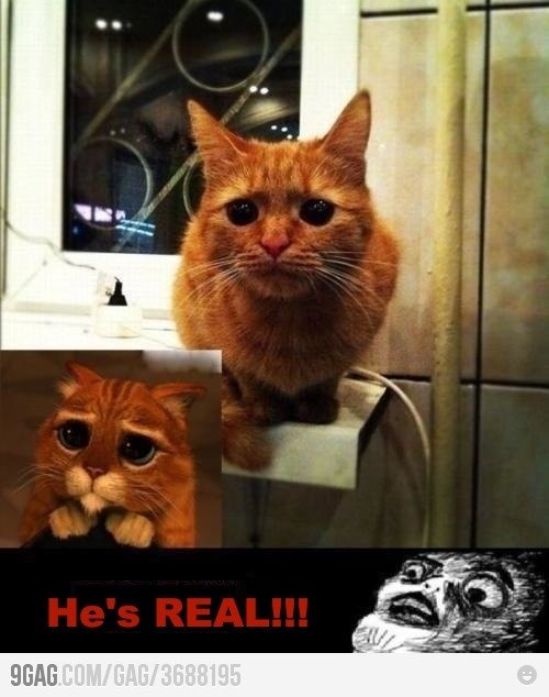 Була Итегулов фотография #38