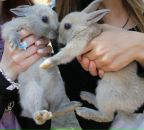 Фотография Клепининой Марии