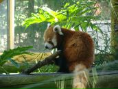 Ирина Щербинина фотография #37 (источник - https://vk.com/id866608)