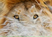 Віталій Папіж фотография #17 (источник - https://vk.com/id25237547)