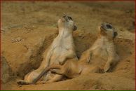 Марія Федорюк фотография #50 (источник - https://vk.com/id78634472)