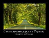 Максим Іващик фотография #42 (источник - https://vk.com/id134287271)